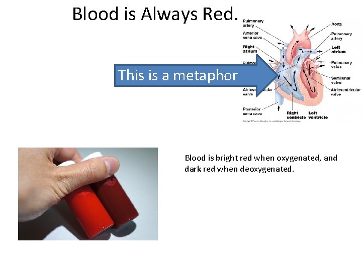 Blood is Always Red. This is a metaphor Blood is bright red when oxygenated,