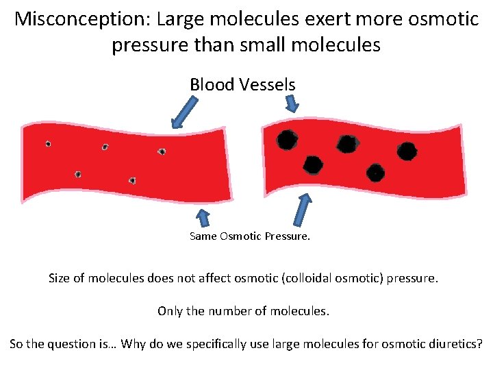 Misconception: Large molecules exert more osmotic pressure than small molecules Blood Vessels Same Osmotic