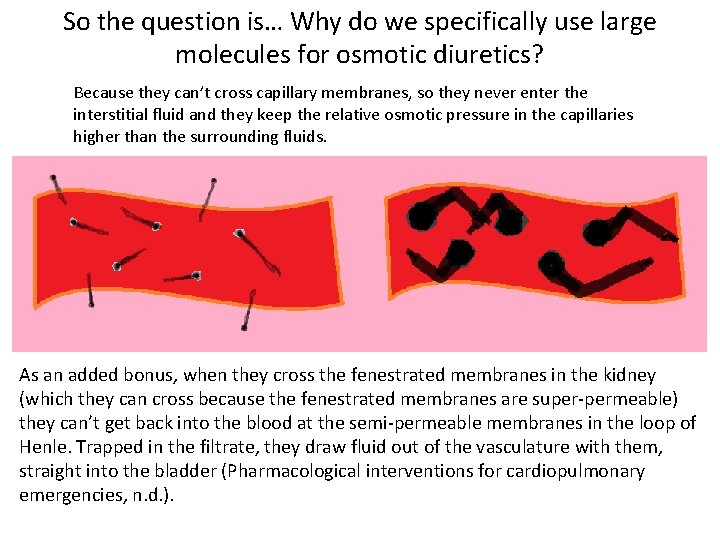 So the question is… Why do we specifically use large molecules for osmotic diuretics?