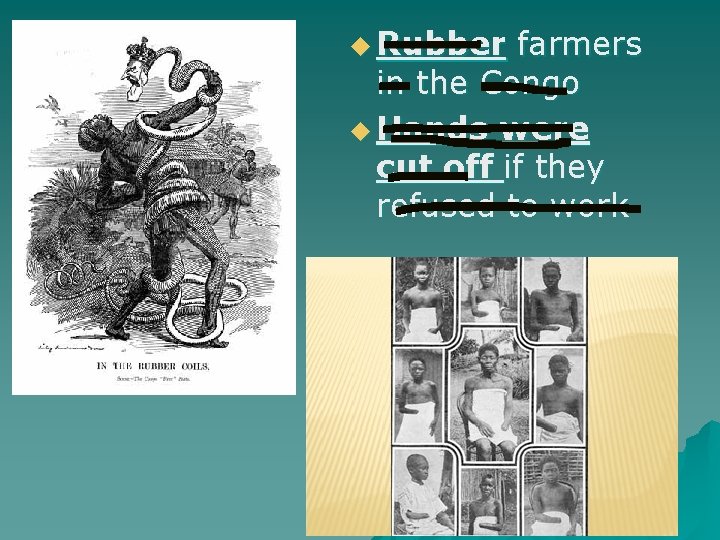 u Rubber farmers in the Congo u Hands were cut off if they refused
