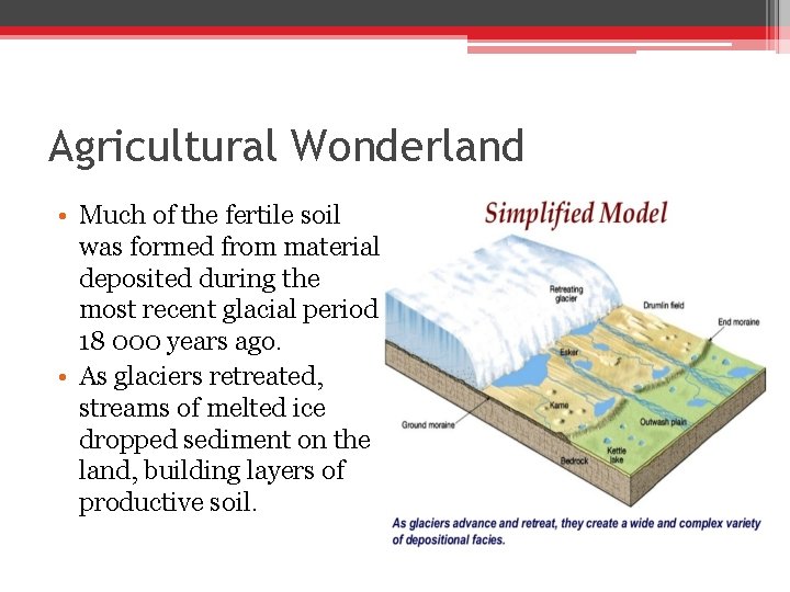 Agricultural Wonderland • Much of the fertile soil was formed from material deposited during