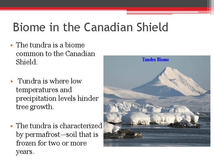 Biome in the Canadian Shield • The tundra is a biome common to the