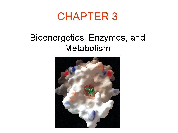 CHAPTER 3 Bioenergetics, Enzymes, and Metabolism 