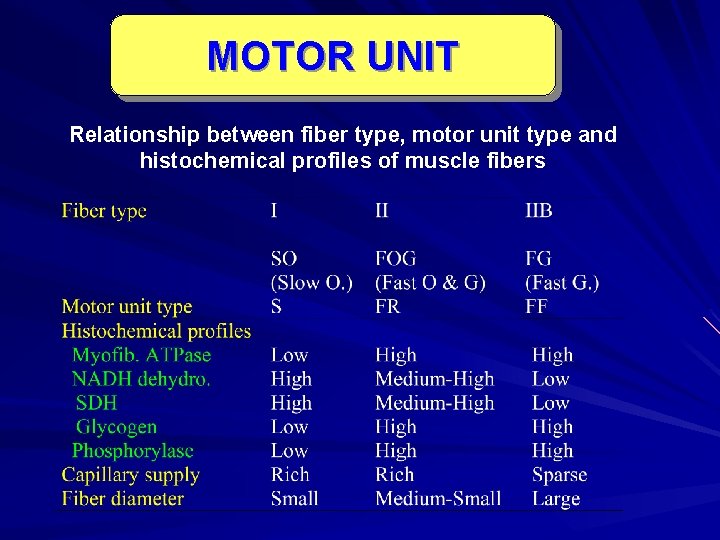MOTOR UNIT Relationship between fiber type, motor unit type and histochemical profiles of muscle