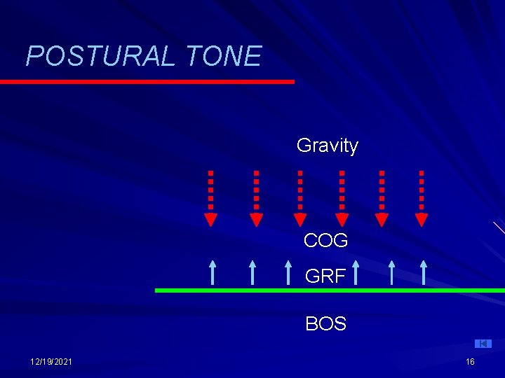 POSTURAL TONE Gravity COG GRF BOS 12/19/2021 16 