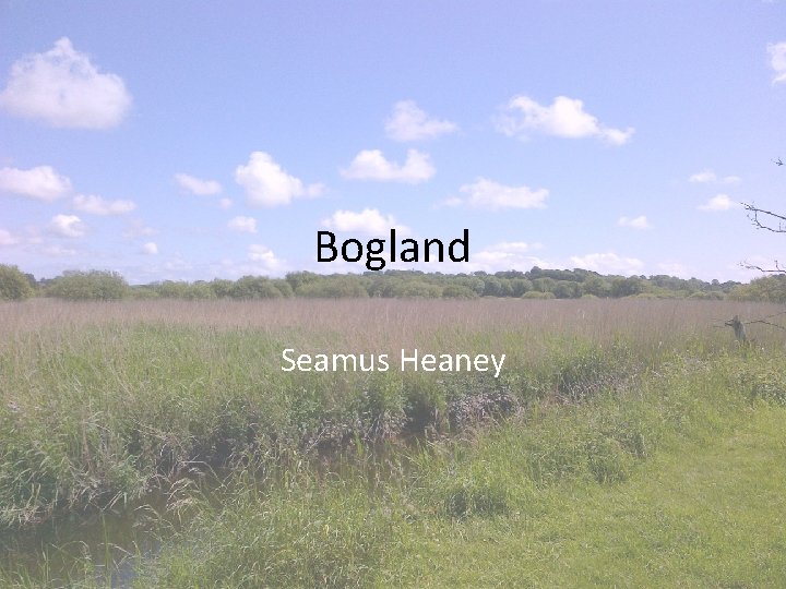 Bogland Seamus Heaney 