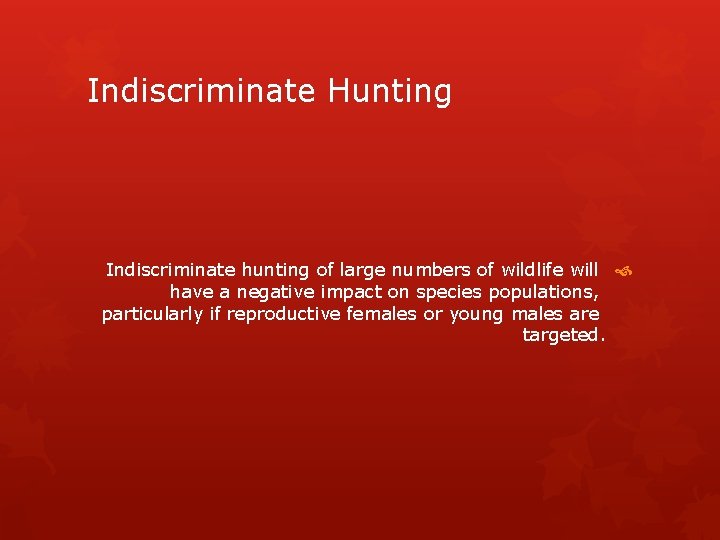 Indiscriminate Hunting Indiscriminate hunting of large numbers of wildlife will have a negative impact