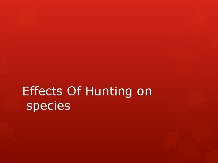 Effects Of Hunting on species 