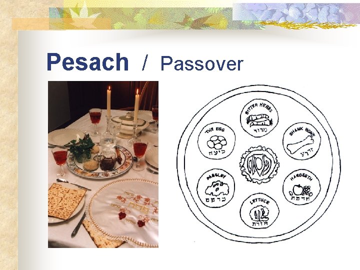 Pesach / Passover 