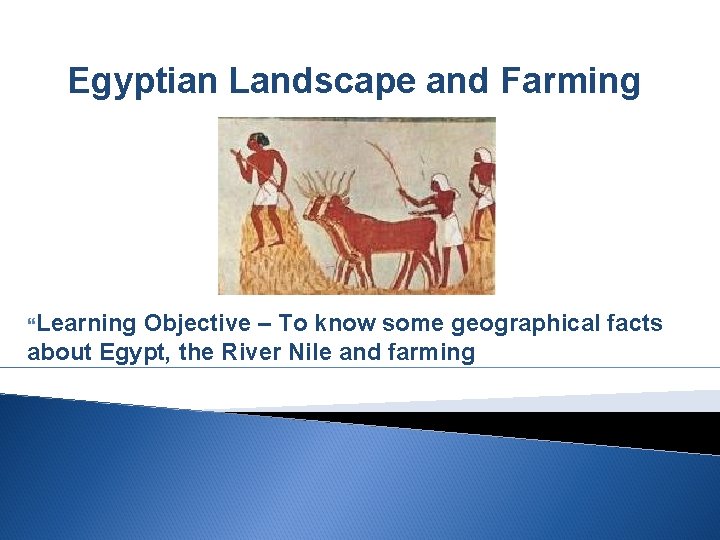 Egyptian Landscape and Farming Learning Objective – To know some geographical facts about Egypt,