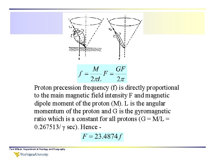 Proton precession frequency (f) is directly proportional to the main magnetic field intensity F