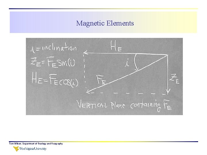 Magnetic Elements Tom Wilson, Department of Geology and Geography 