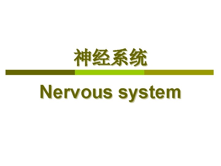 神经系统 Nervous system 