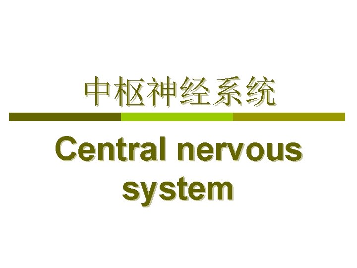 中枢神经系统 Central nervous system 