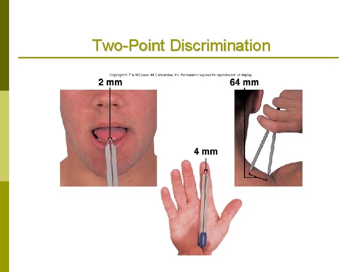 Two-Point Discrimination 