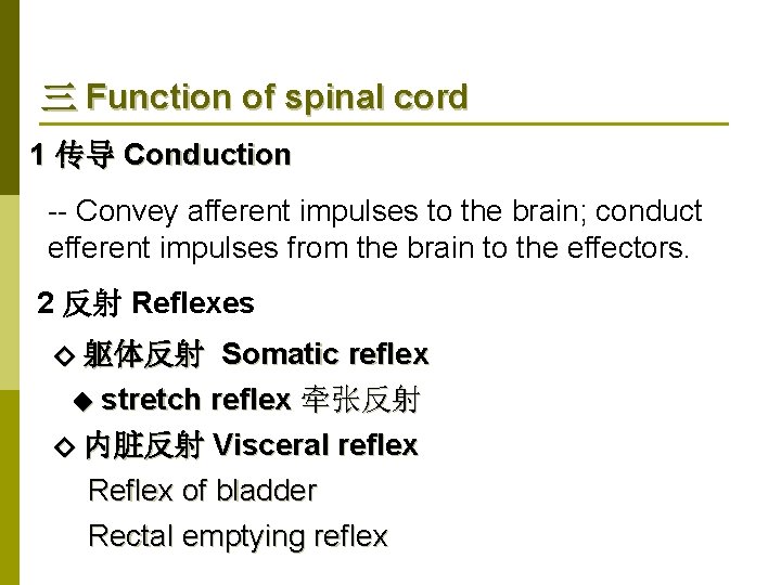 三 Function of spinal cord 1 传导 Conduction -- Convey afferent impulses to the