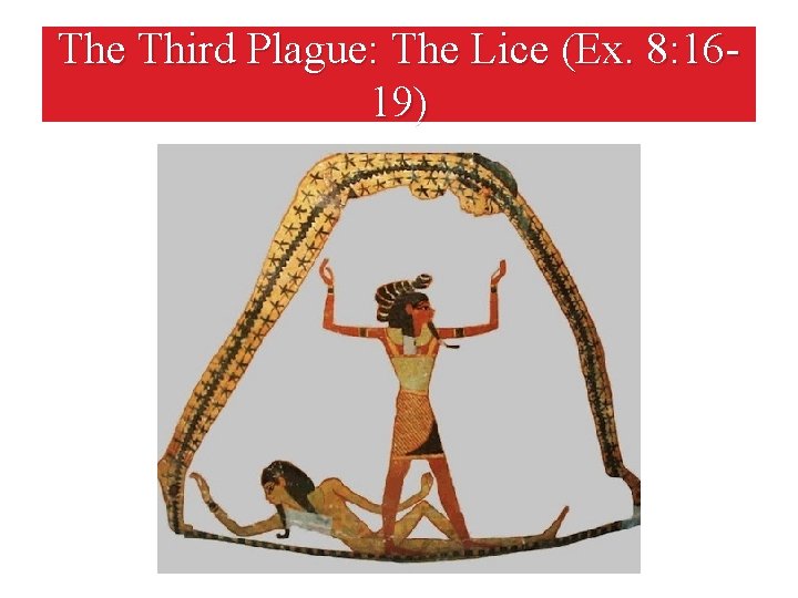 The Third Plague: The Lice (Ex. 8: 1619) 