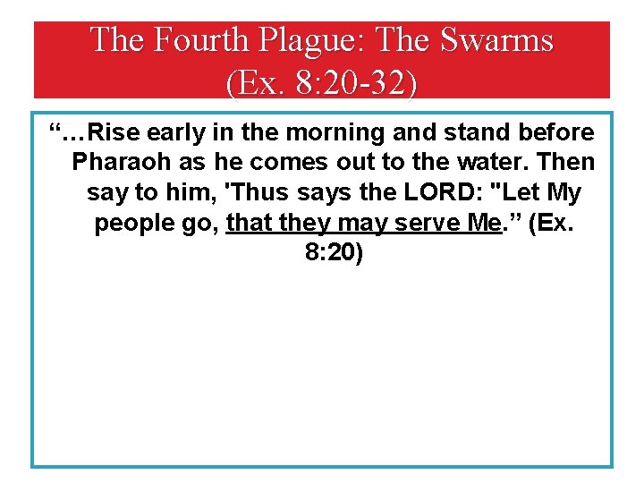 The Fourth Plague: The Swarms (Ex. 8: 20 -32) “…Rise early in the morning