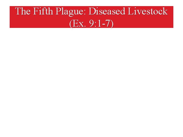 The Fifth Plague: Diseased Livestock (Ex. 9: 1 -7) 
