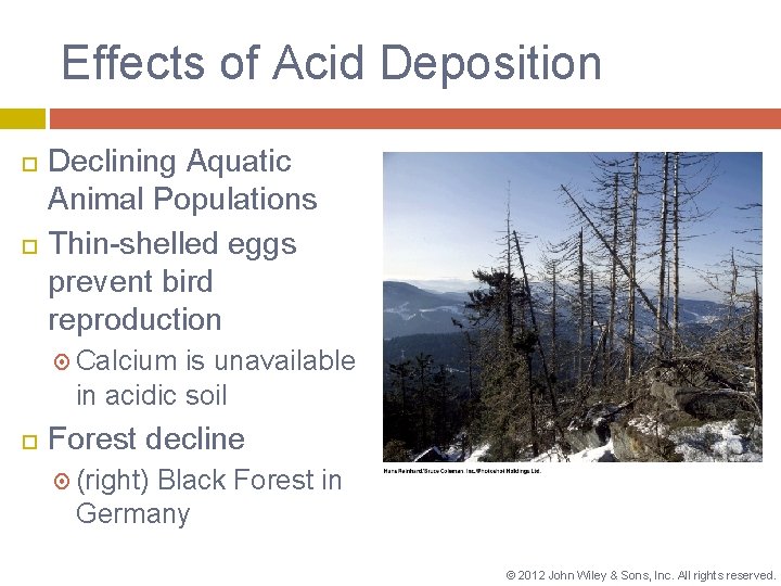 Effects of Acid Deposition Declining Aquatic Animal Populations Thin-shelled eggs prevent bird reproduction Calcium
