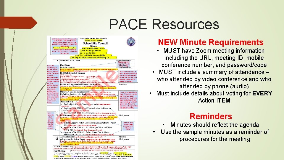 PACE Resources NEW Minute Requirements • MUST have Zoom meeting information including the URL,