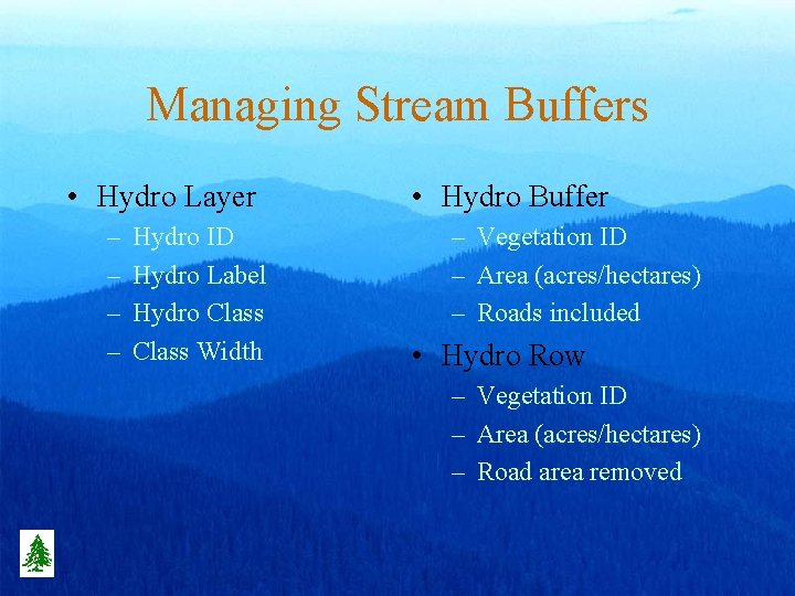 Managing Stream Buffers • Hydro Layer – – Hydro ID Hydro Label Hydro Class