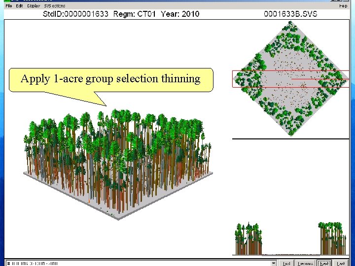 Apply 1 -acre group selection thinning 