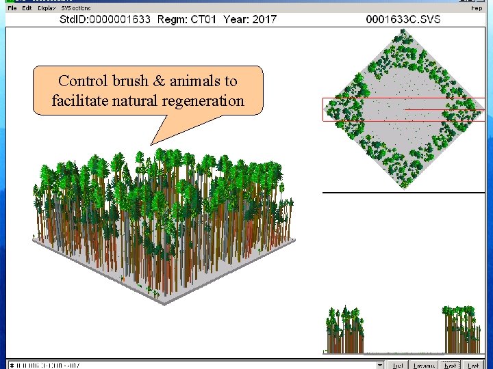 Control brush & animals to facilitate natural regeneration 