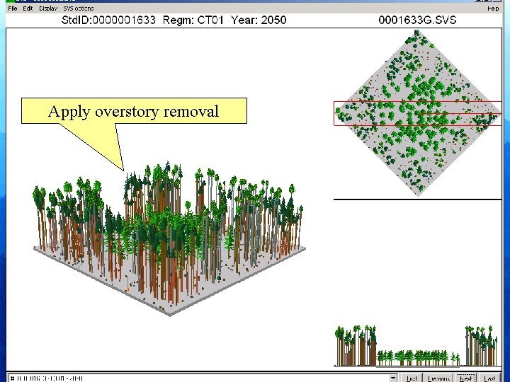 Apply overstory removal 