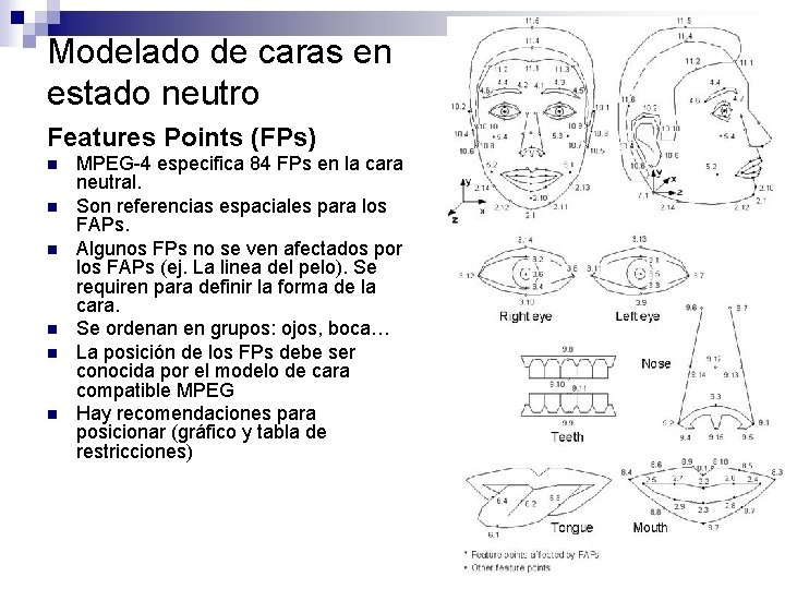 Modelado de caras en estado neutro Features Points (FPs) n n n MPEG-4 especifica