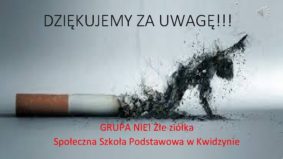 DZIĘKUJEMY ZA UWAGĘ!!! GRUPA NIE! Złe ziółka Społeczna Szkoła Podstawowa w Kwidzynie 