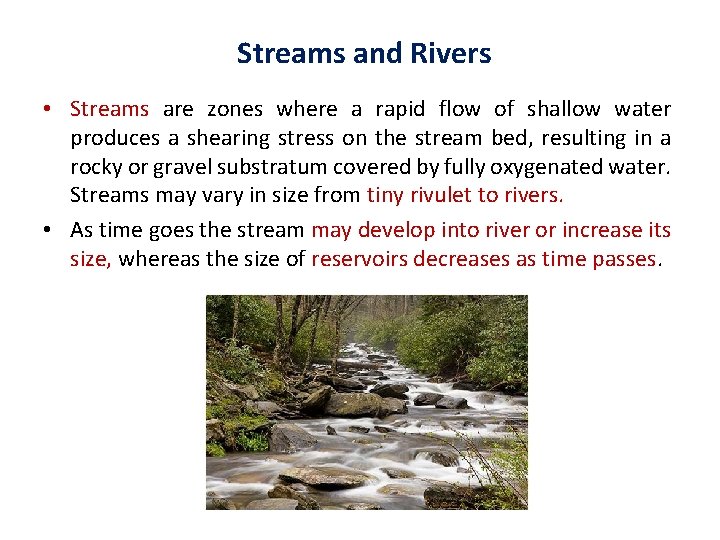 Streams and Rivers • Streams are zones where a rapid flow of shallow water