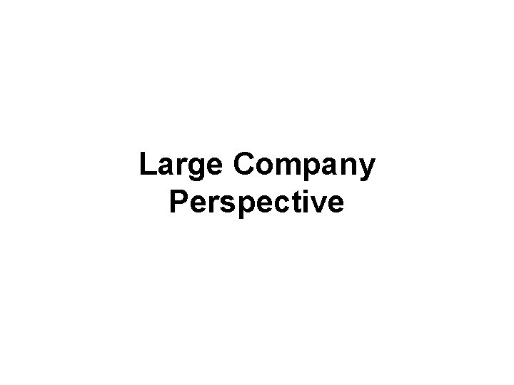 Large Company Perspective 