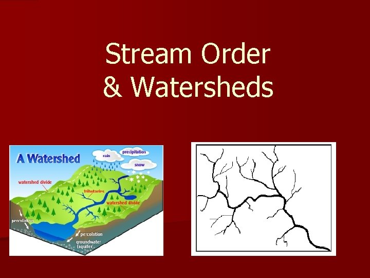 Stream Order & Watersheds 