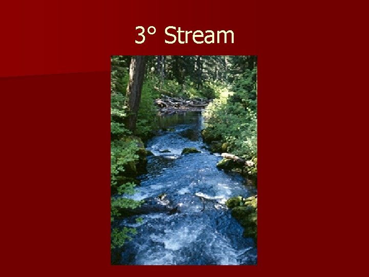 3° Stream 