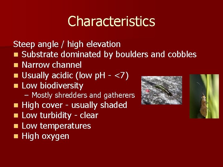 Characteristics Steep angle / high elevation n Substrate dominated by boulders and cobbles n