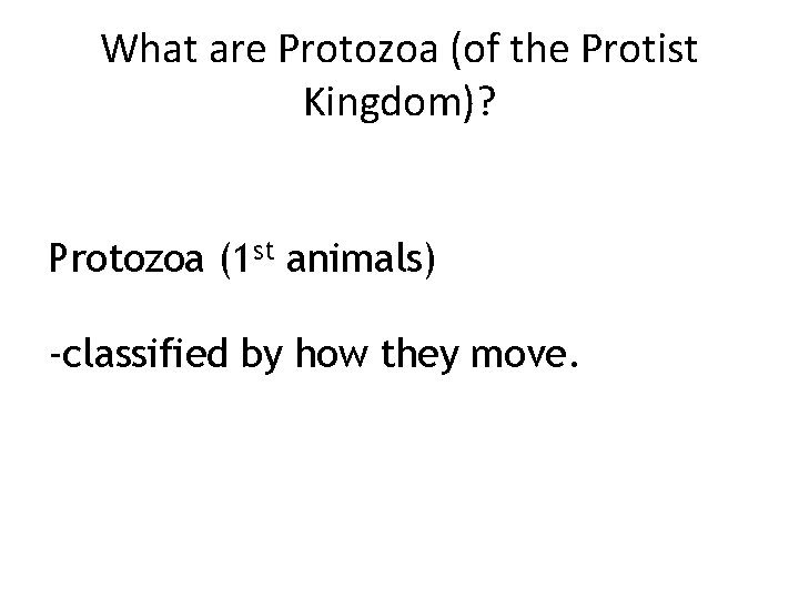 What are Protozoa (of the Protist Kingdom)? Protozoa (1 st animals) -classified by how