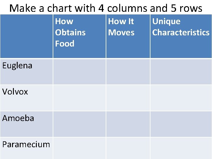 Make a chart with 4 columns and 5 rows How Obtains Food Euglena Volvox