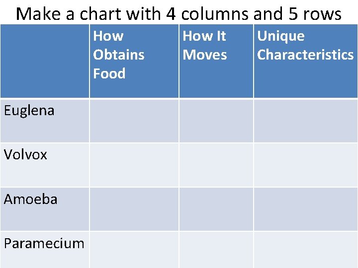 Make a chart with 4 columns and 5 rows How Obtains Food Euglena Volvox