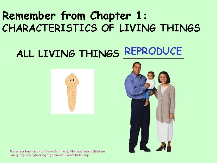 Remember from Chapter 1: CHARACTERISTICS OF LIVING THINGS REPRODUCE ALL LIVING THINGS _____ Planaria