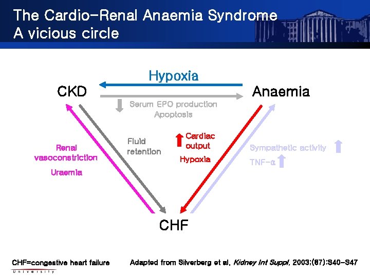 The Cardio-Renal Anaemia Syndrome A vicious circle Hypoxia CKD Anaemia Serum EPO production Apoptosis