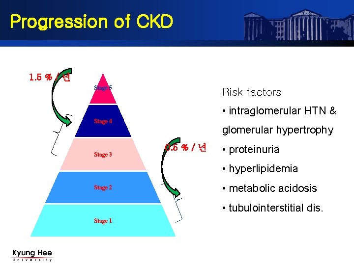 Progression of CKD 1. 5 % / 년 Stage 5 Risk factors • intraglomerular Progression of CKD 1. 5 % / 년 Stage 5 Risk factors • intraglomerular