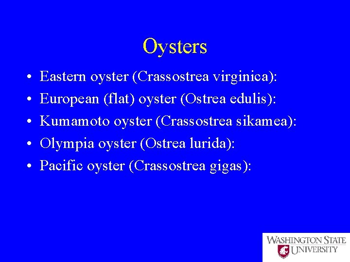 Oysters • • • Eastern oyster (Crassostrea virginica): European (flat) oyster (Ostrea edulis): Kumamoto