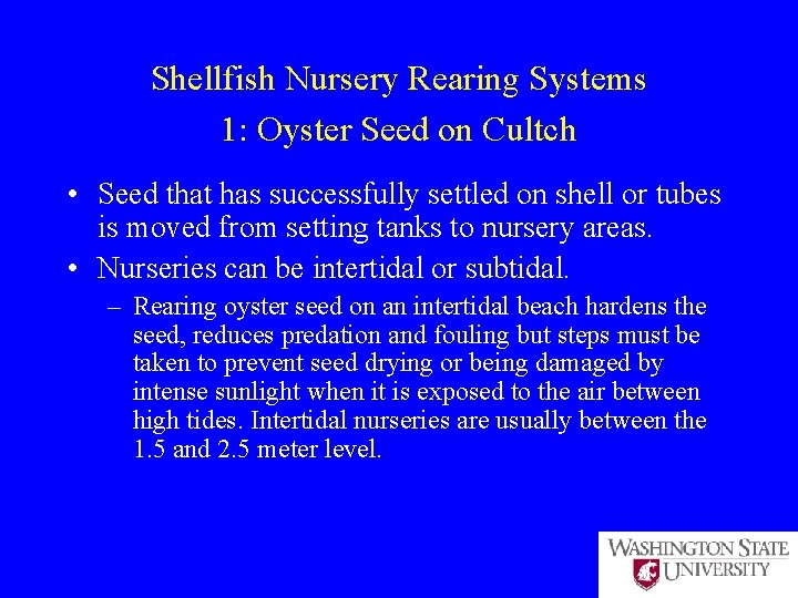 Shellfish Nursery Rearing Systems 1: Oyster Seed on Cultch • Seed that has successfully