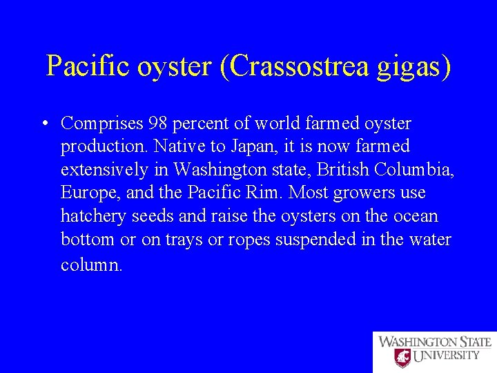 Pacific oyster (Crassostrea gigas) • Comprises 98 percent of world farmed oyster production. Native