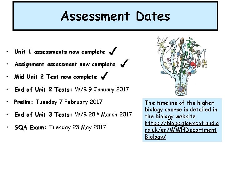 Assessment Dates • Unit 1 assessments now complete • Assignment assessment now complete •