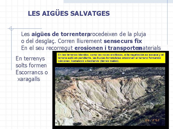 LES AIGÜES SALVATGES Les aigües de torrentera procedeixen de la pluja o del desglaç.