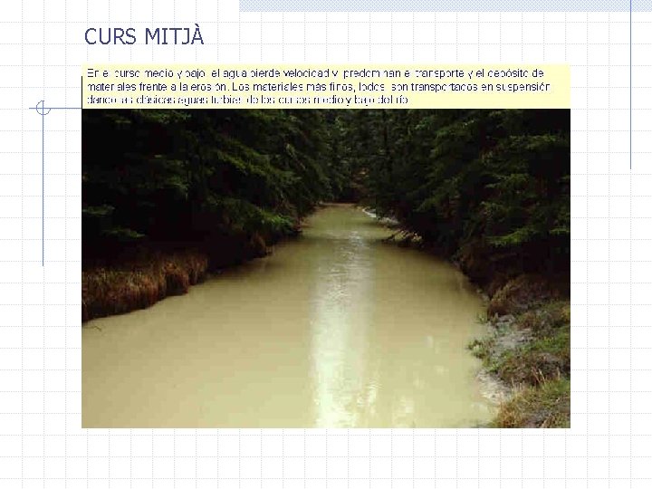 CURS MITJÀ 