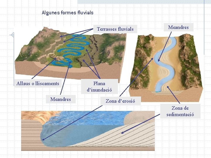 Algunes formes fluvials Terrasses fluvials Allaus o lliscaments Meandres Plana d’inundació Zona d’erosió Zona