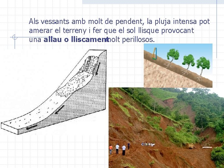 Als vessants amb molt de pendent, la pluja intensa pot amerar el terreny i